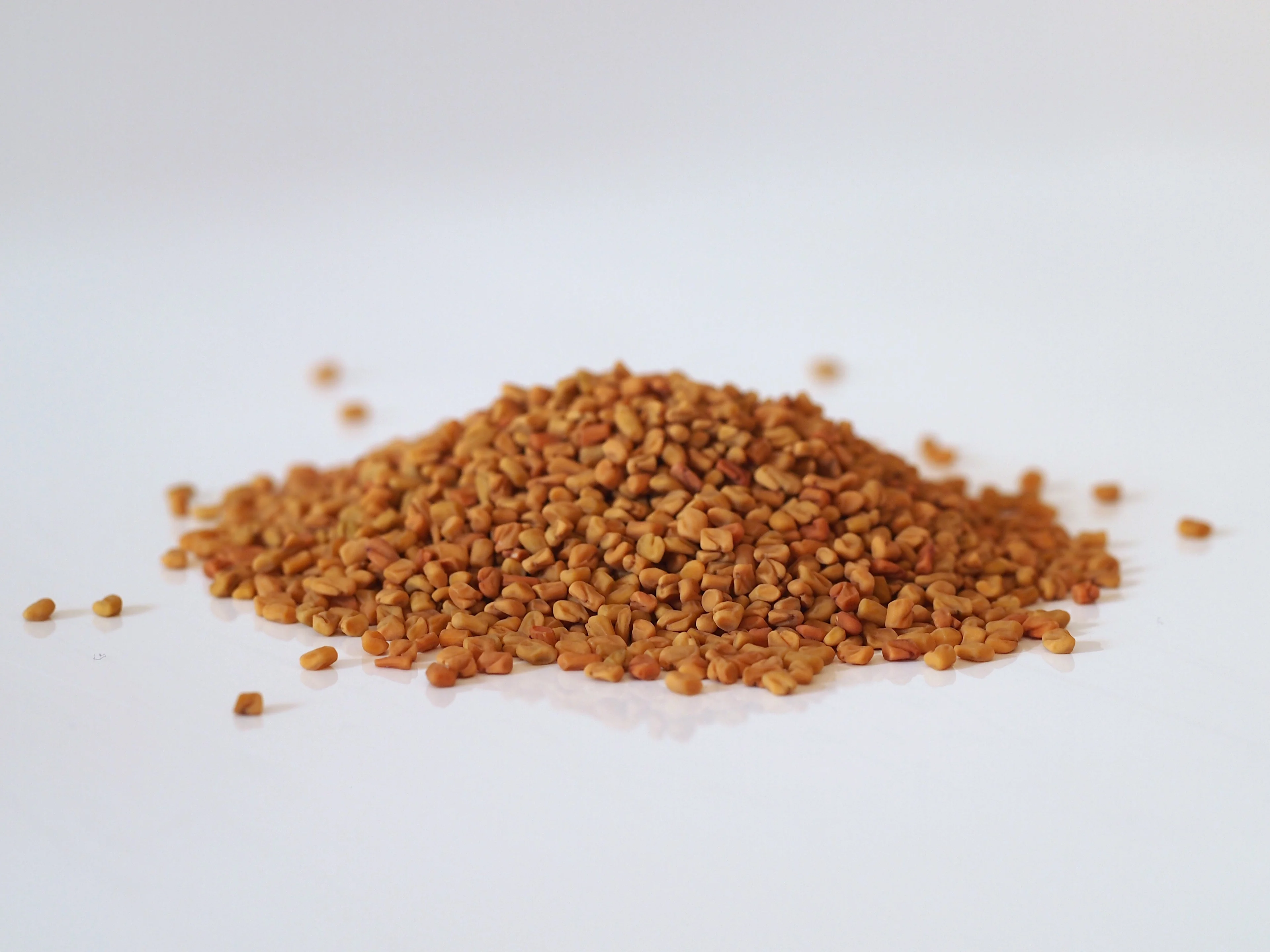 a photograph of a pile of whole fenugreek seeds