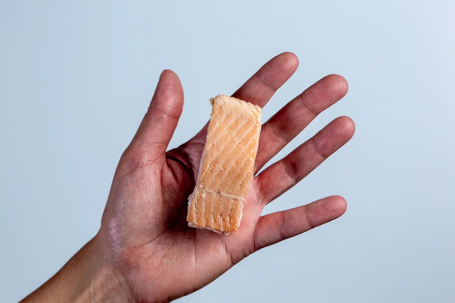 a photograph of a hand holding a strip of cooked arctic char with bones and skin removed