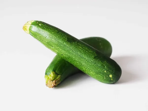two raw zucchini before being prepared for babies starting solid food