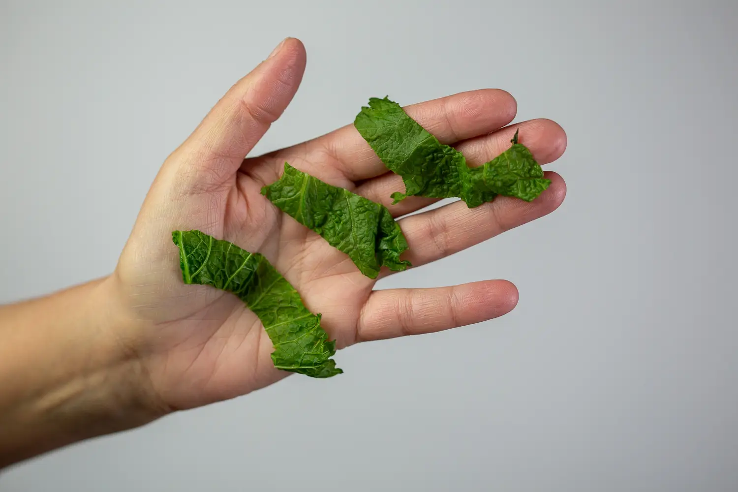 A hand with three long chopped pieces of mustard green in the palm