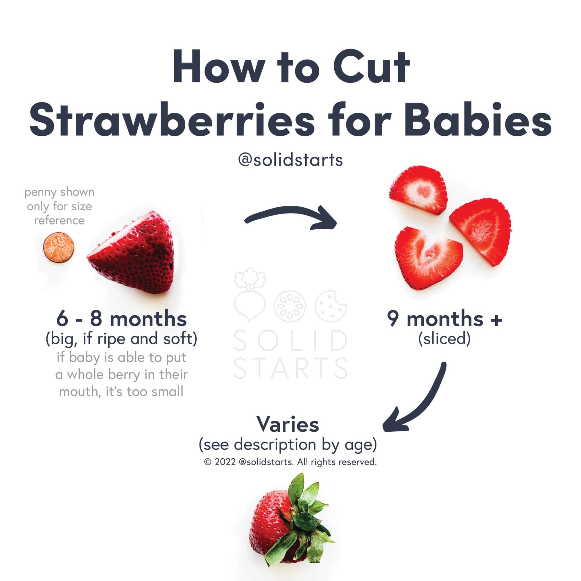 How to Cut Strawberries for Babies Solid Starts v. 3