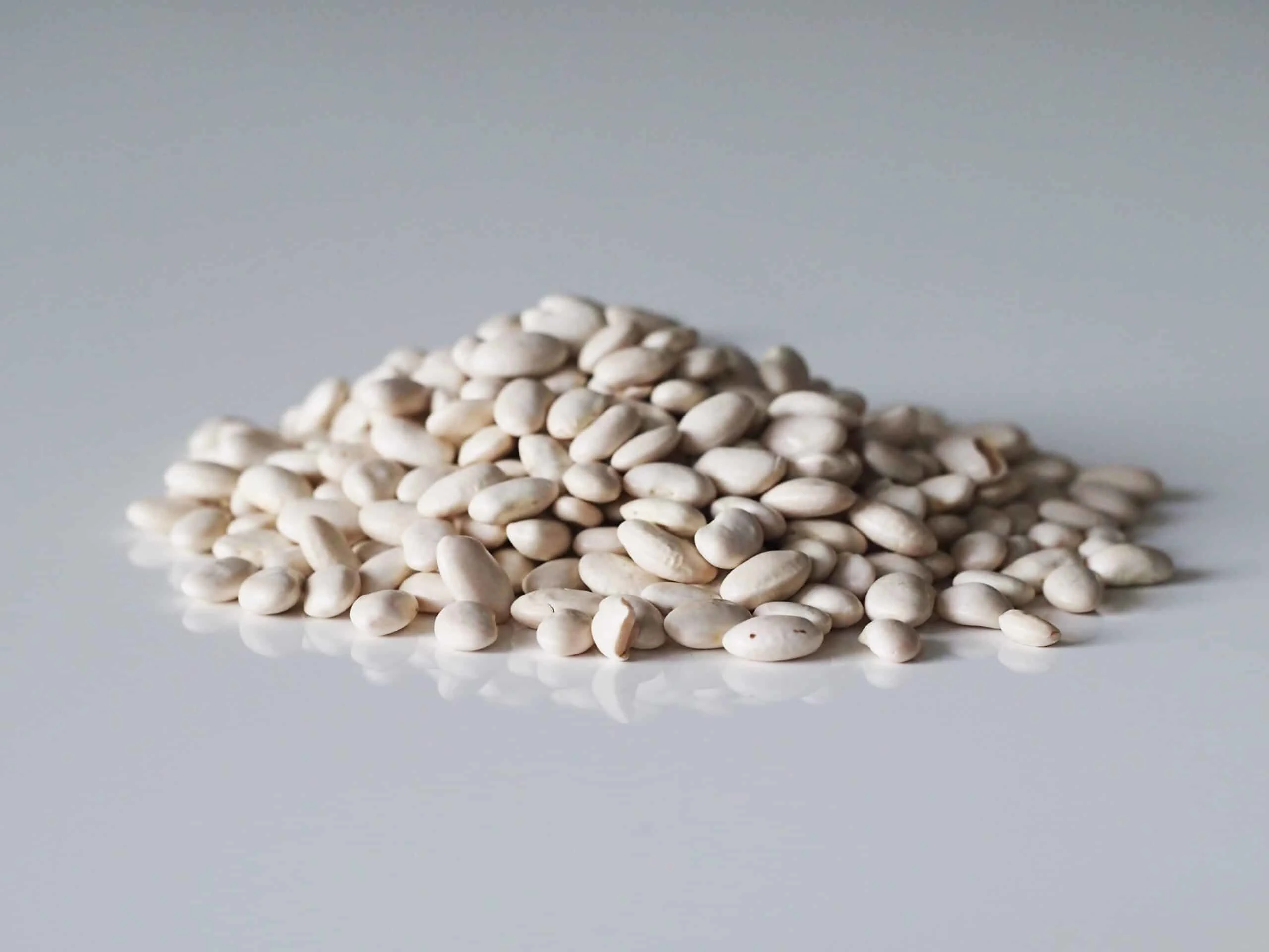a pile of great northern beans ready to be prepared for babies starting solids