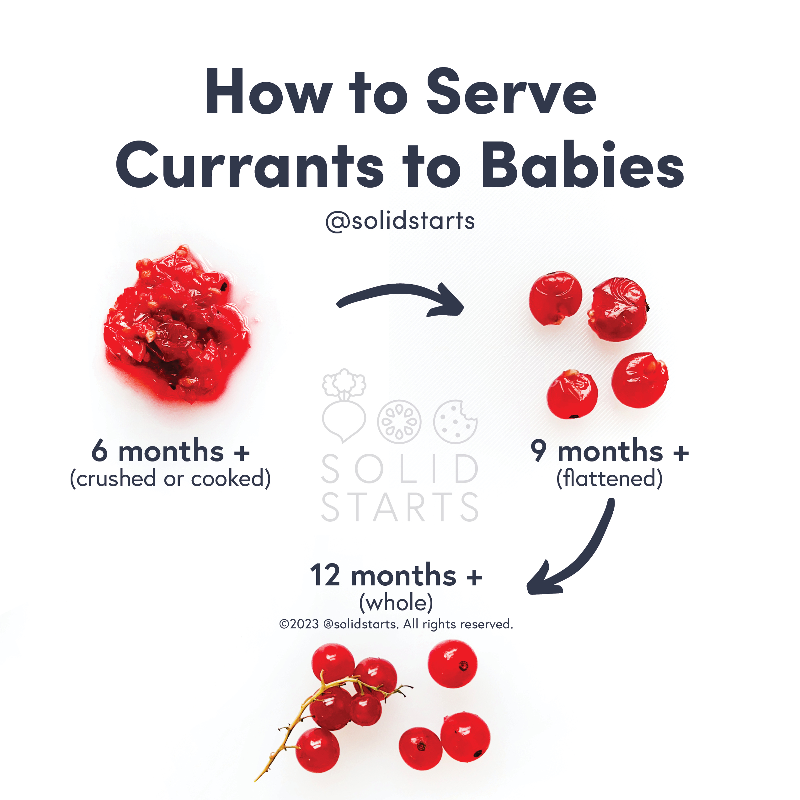 solid-starts-currants-for-babies-first-foods-for-babies