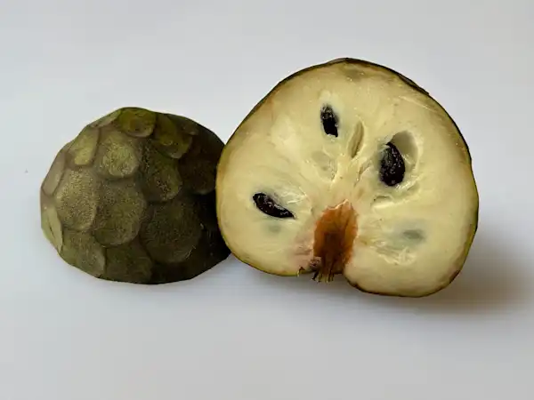 a photograph of a ripe cherimoya cut in half to show the inside