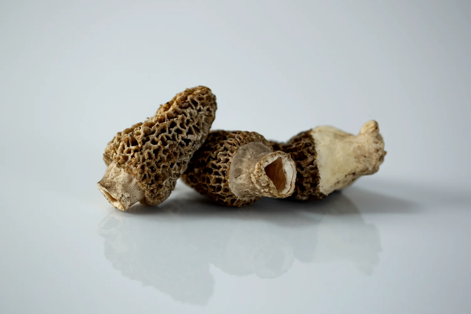 three whole fresh morel mushrooms on a white background