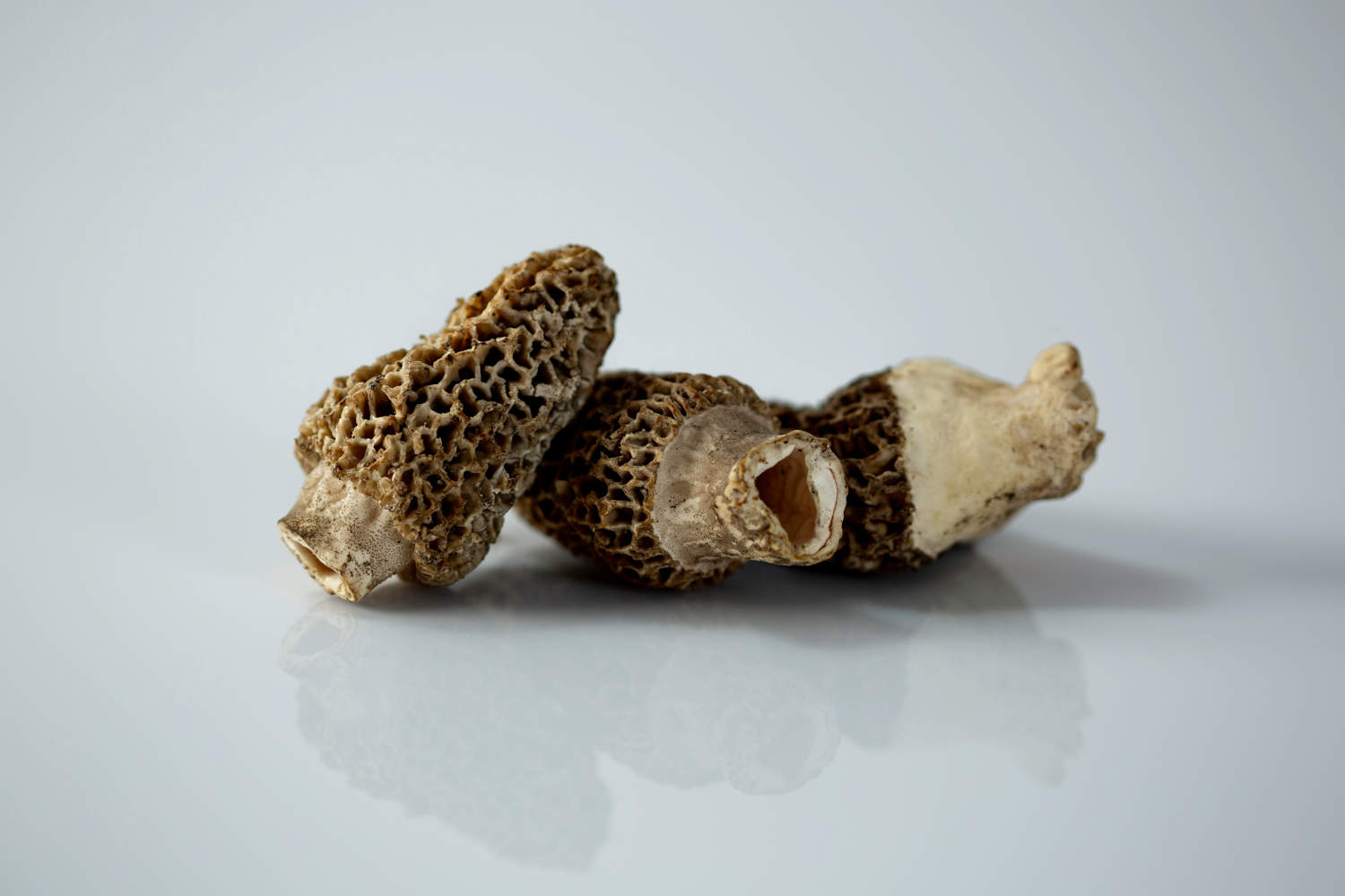 Morel Mushrooms for Babies First Foods for Baby Solid Starts