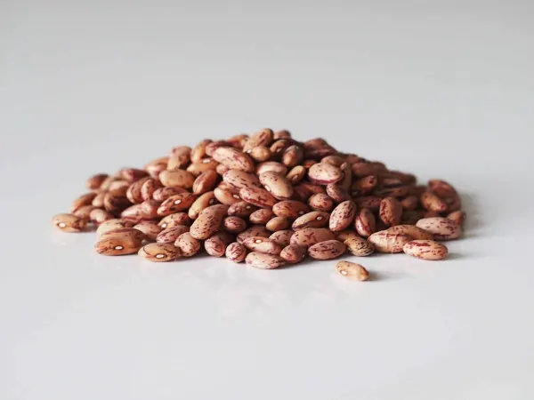 a pile of pinto beans ready to be prepared for babies starting solids