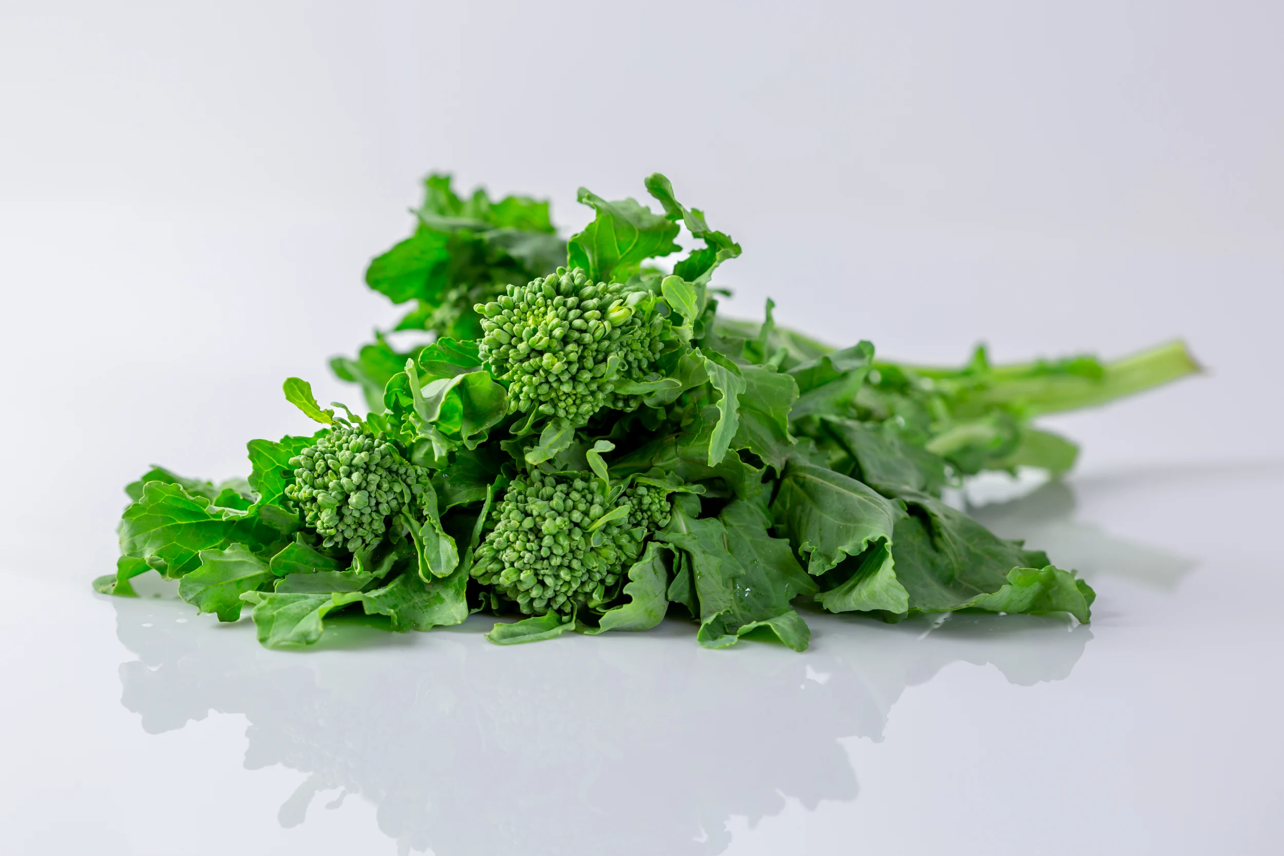 a photograph of broccoli rabe