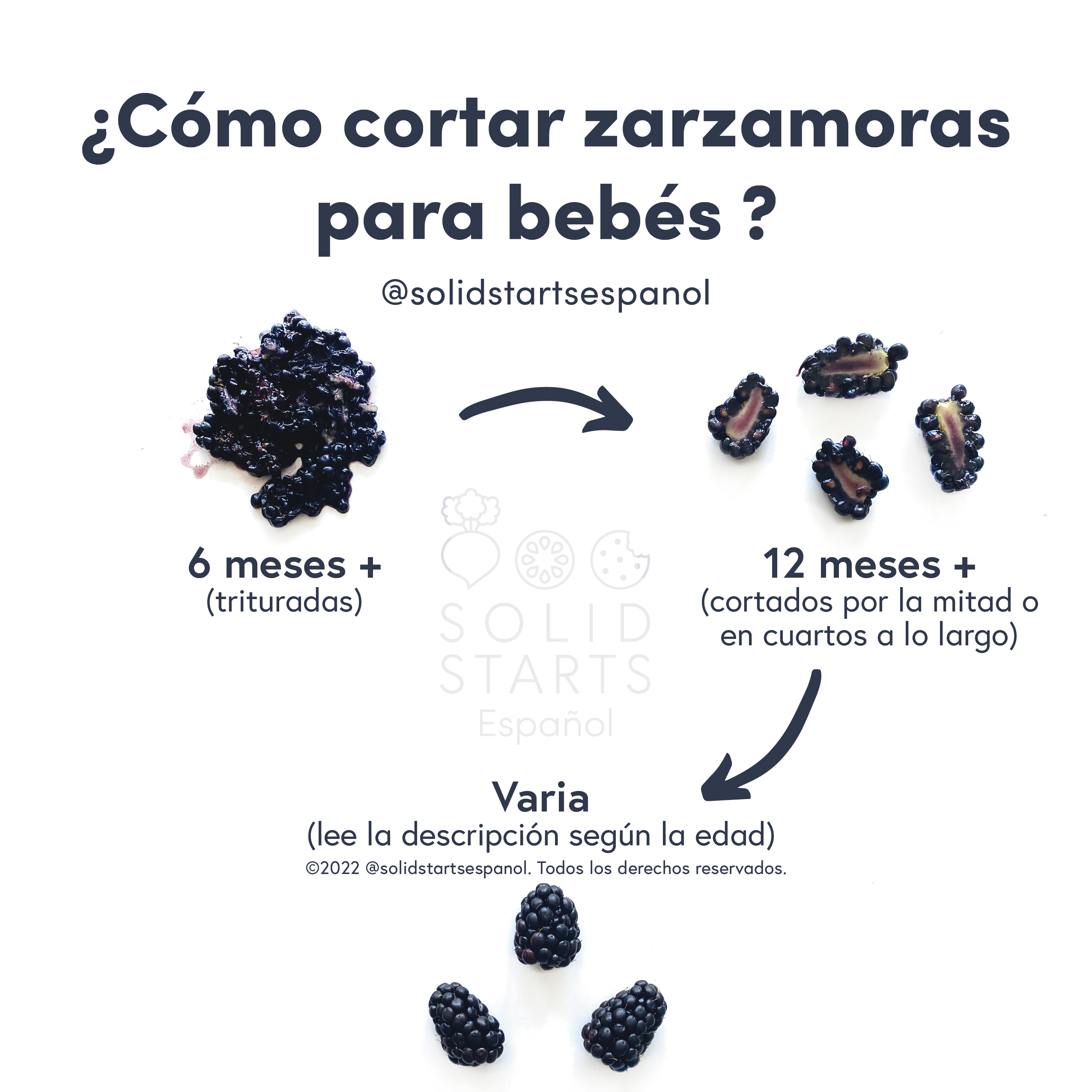 Blackberries for Babies First Foods for Baby Solid Starts