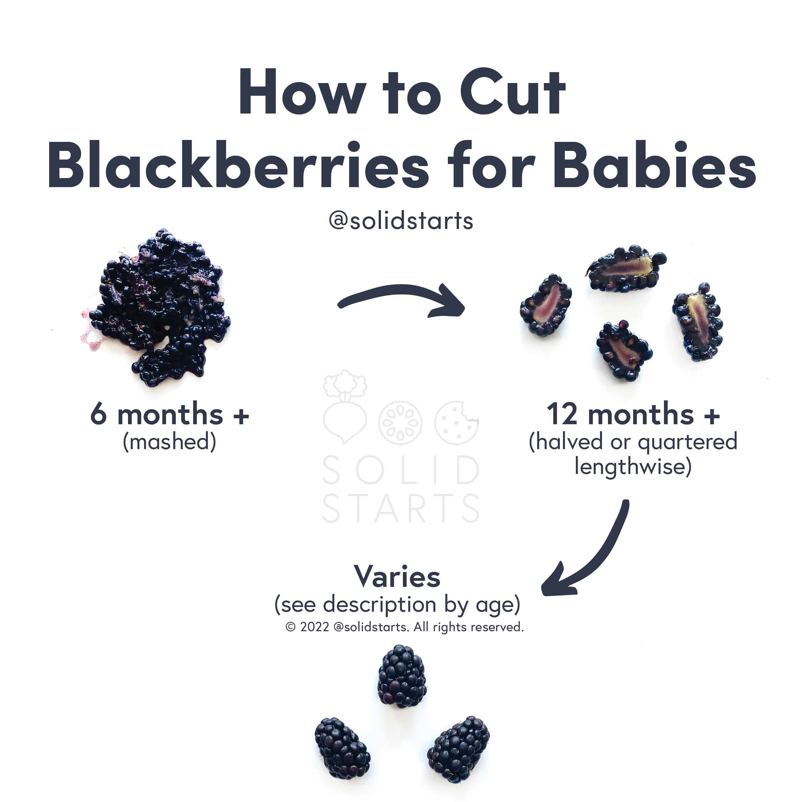 Blackberries for Babies - First Foods for Baby - Solid Starts