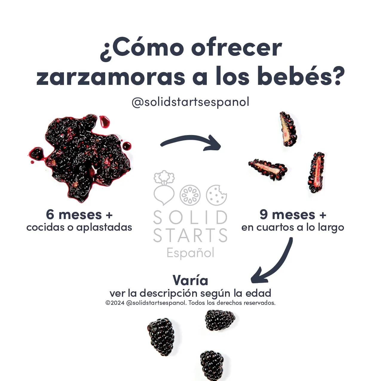 a Solid Starts infographic with the header How to Cut Blackberries for Babies: mashed for 6 mos+, quartered for 9 mos+, and varies for whole berry