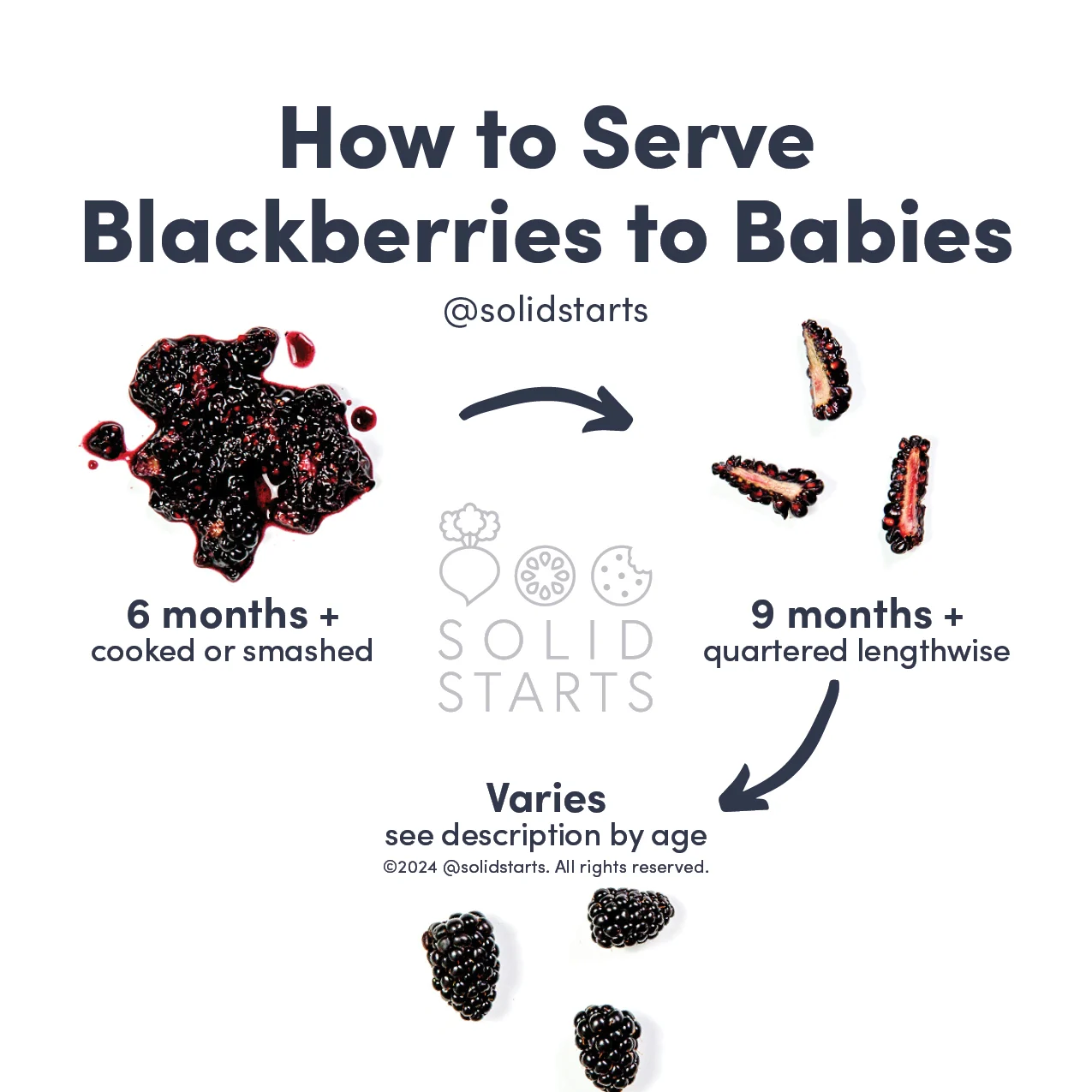 a Solid Starts infographic with the header How to Cut Blackberries for Babies: mashed for 6 mos+, quartered for 9 mos+, and varies for whole berry
