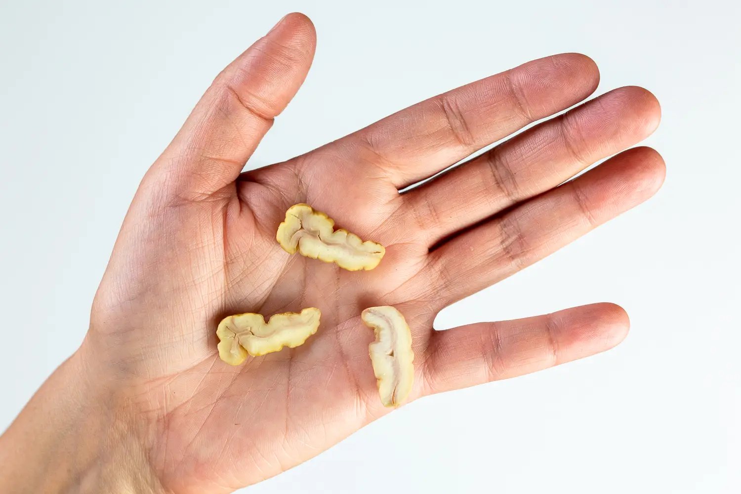 a photograph of a hand holding three thin slices of cooked chestnut in the palm