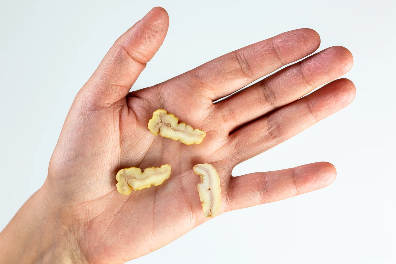 Chestnut thin slices hand pic