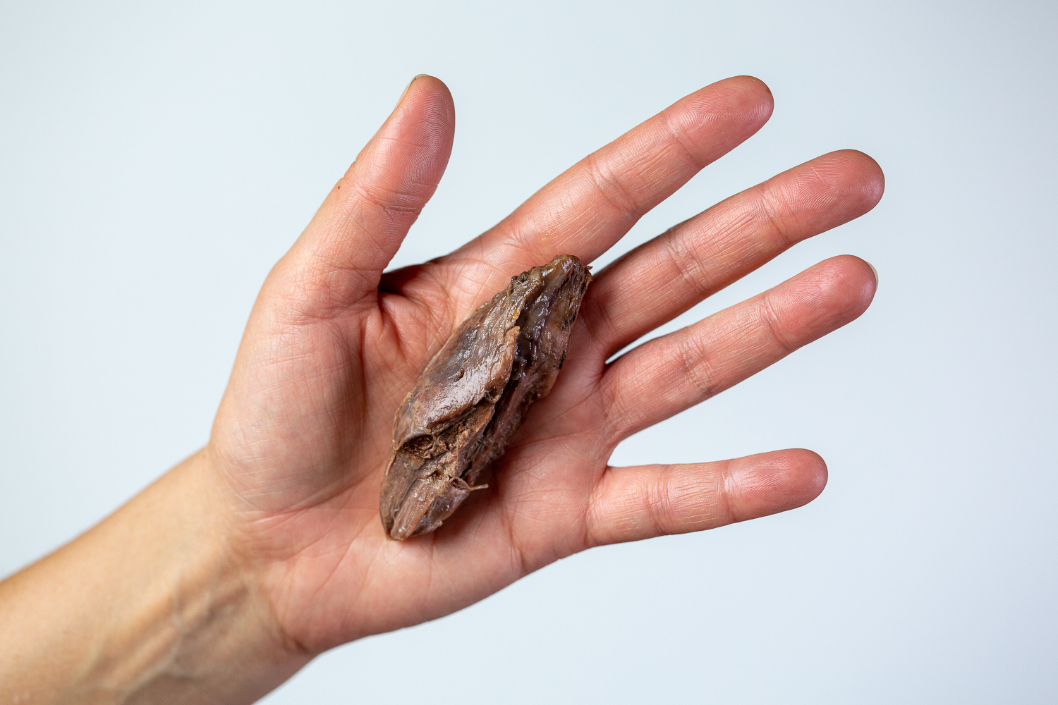 a hand holding a strip of lamb meat the size of two adult fingers pressed together