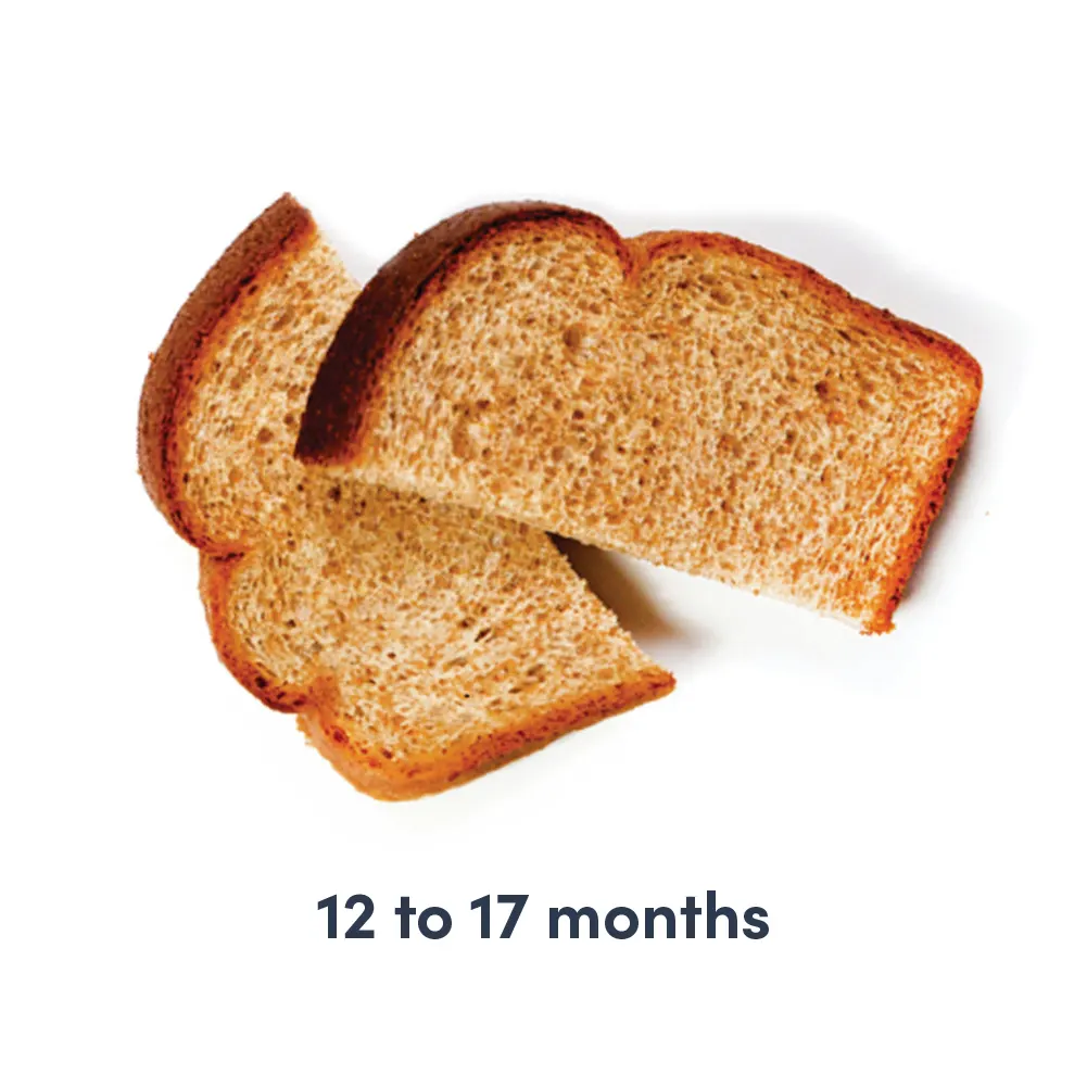 a photograph of two pieces of toast with text that reads 12 to 17 months above it