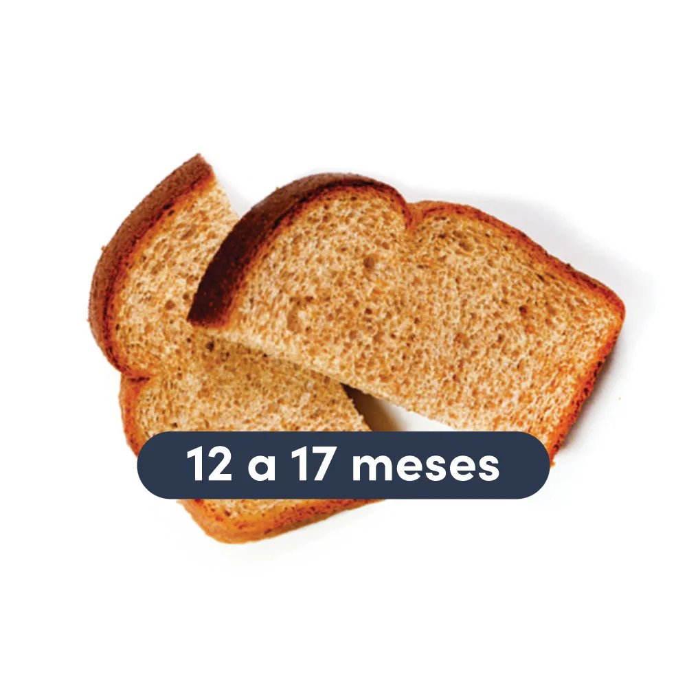 a photograph of two pieces of toast with text that reads 12 to 17 months above it