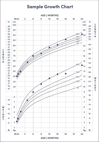 Growth chart showing length and weight percentiles from birth to 24 months. Curved lines indicate 5th to 95th percentiles for tracking development.