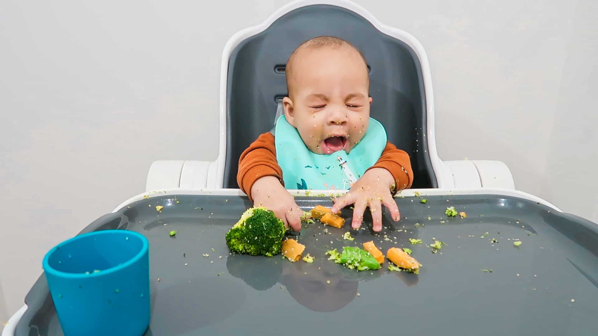a 6 month old baby gags while starting solids