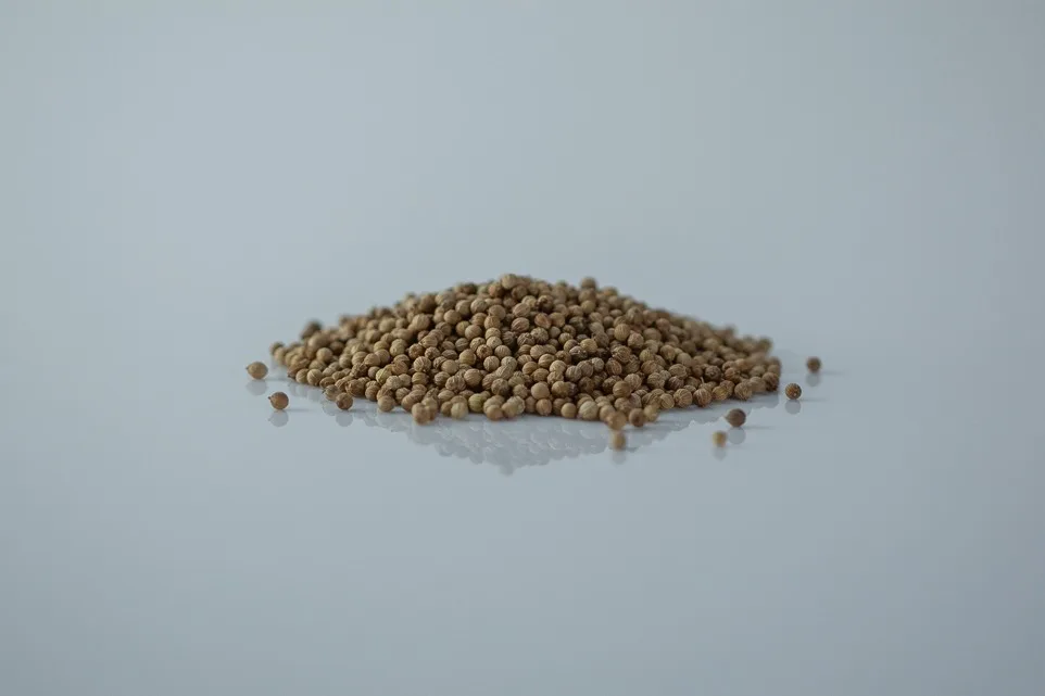 a photograph of a small pile of coriander seed on a white background