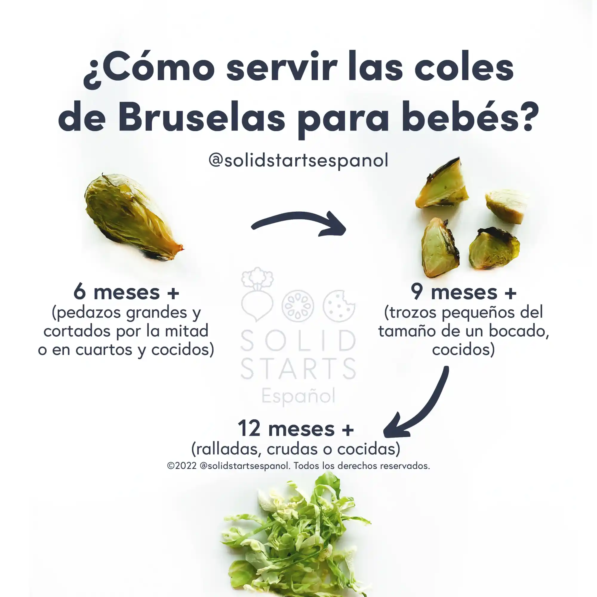 an infographic with the header How to Serve Brussels Sprouts to Babies: large cooked sprouts, halved or quartered for babies 6 months+, cooked bite-size pieces for 9 months+, shredded raw or cooked for 12 months+