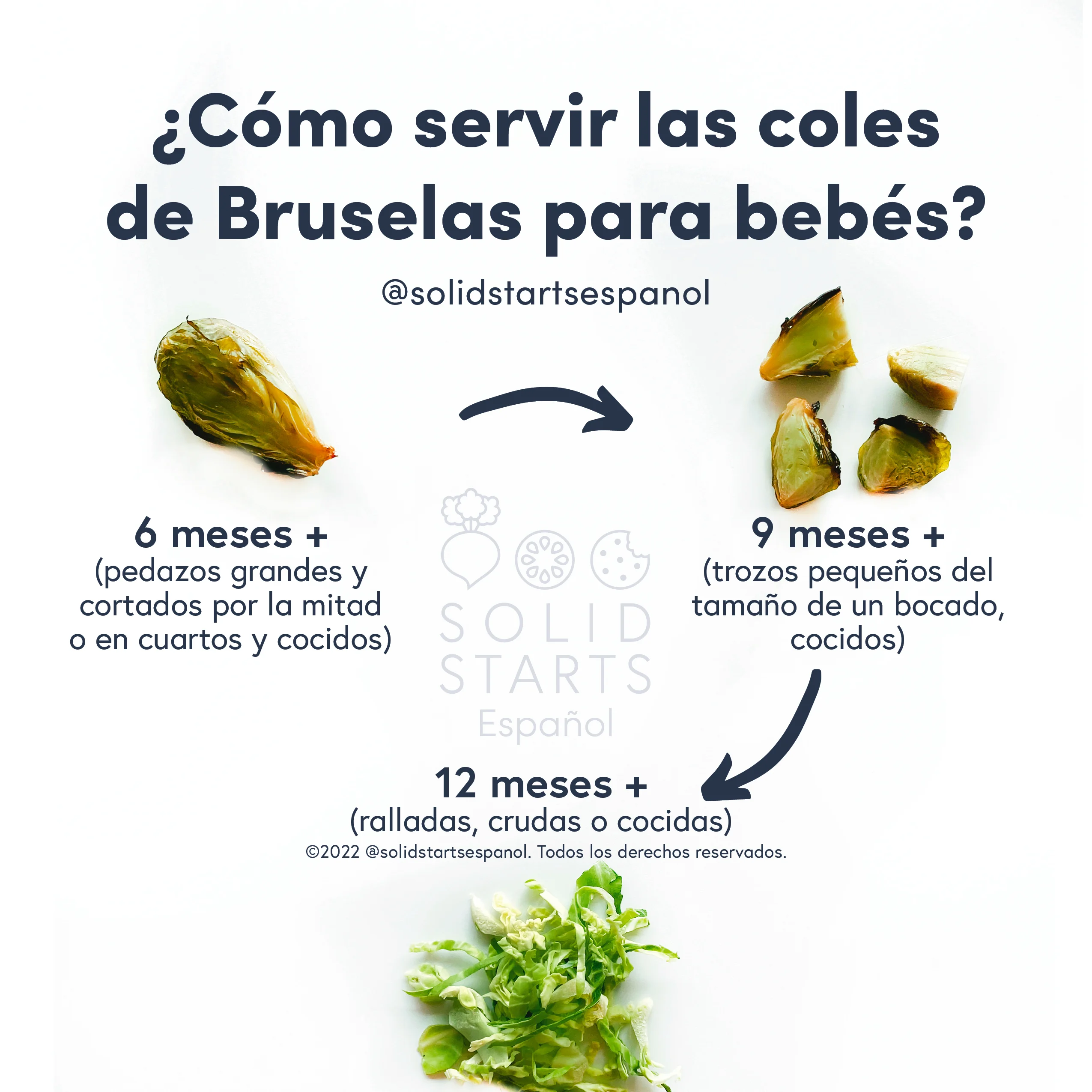 an infographic with the header How to Serve Brussels Sprouts to Babies: large cooked sprouts, halved or quartered for babies 6 months+, cooked bite-size pieces for 9 months+, shredded raw or cooked for 12 months+