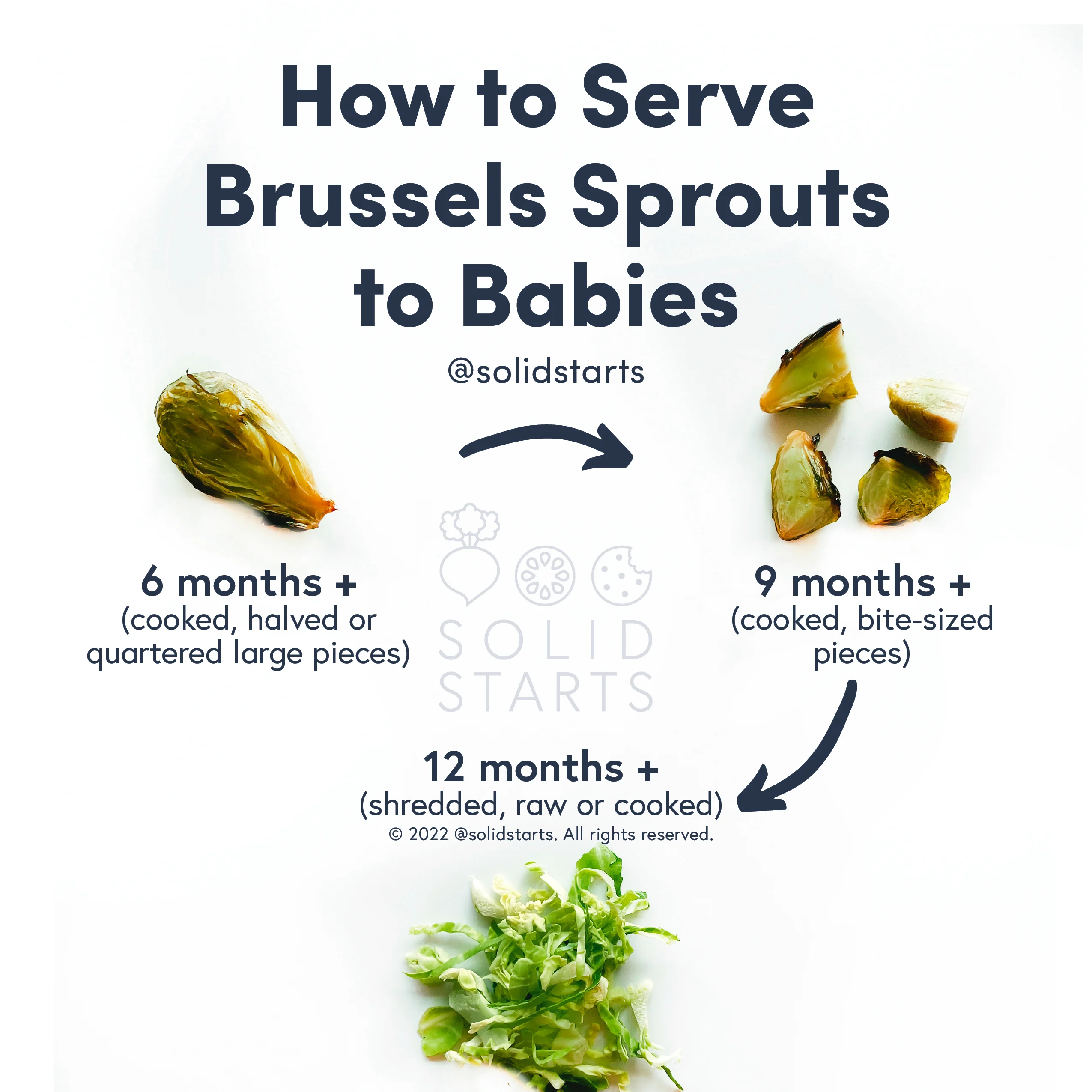 an infographic with the header How to Serve Brussels Sprouts to Babies: large cooked sprouts, halved or quartered for babies 6 months+, cooked bite-size pieces for 9 months+, shredded raw or cooked for 12 months+