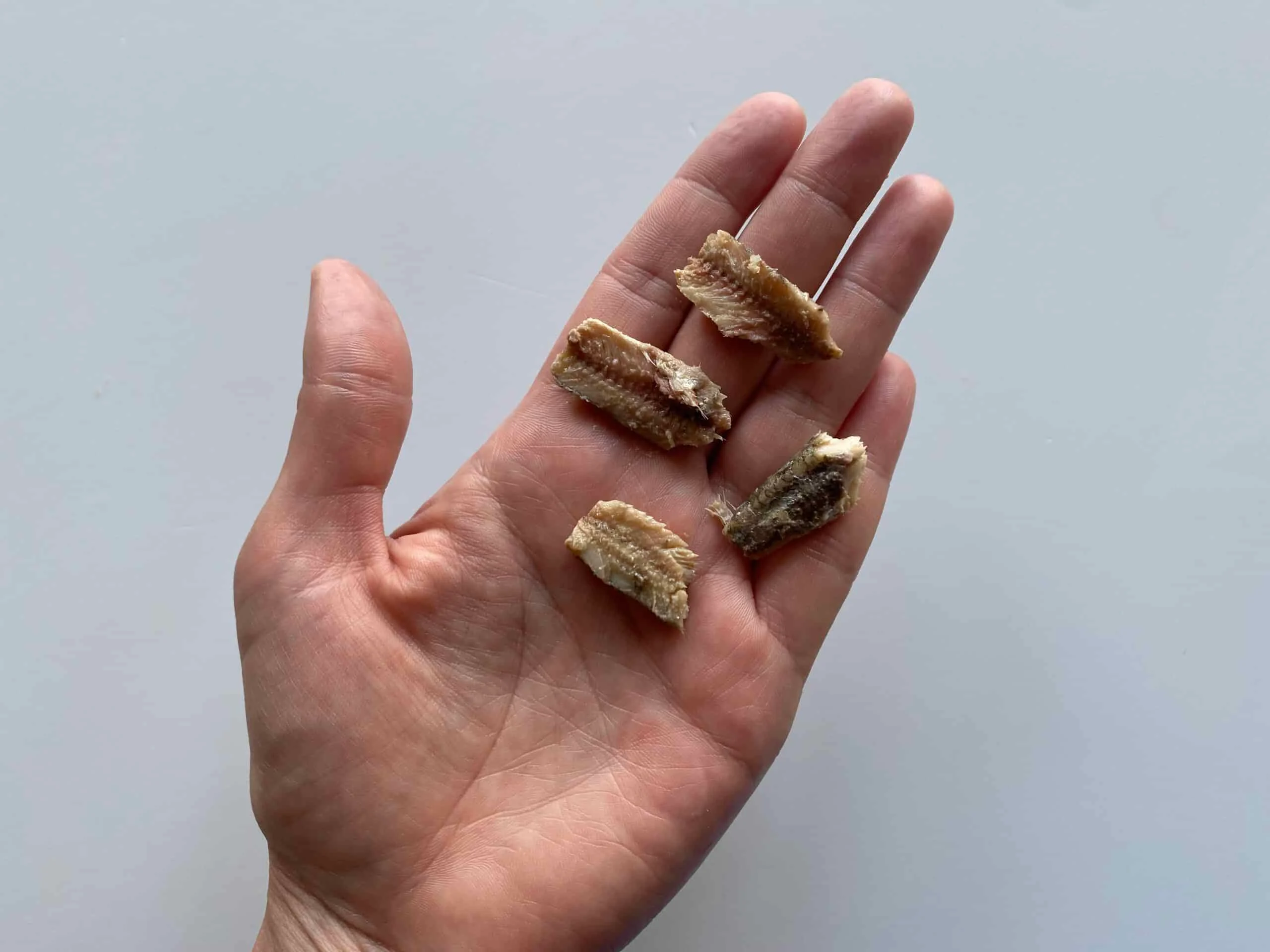 Anchovy canned bite sized pieces Solid Starts