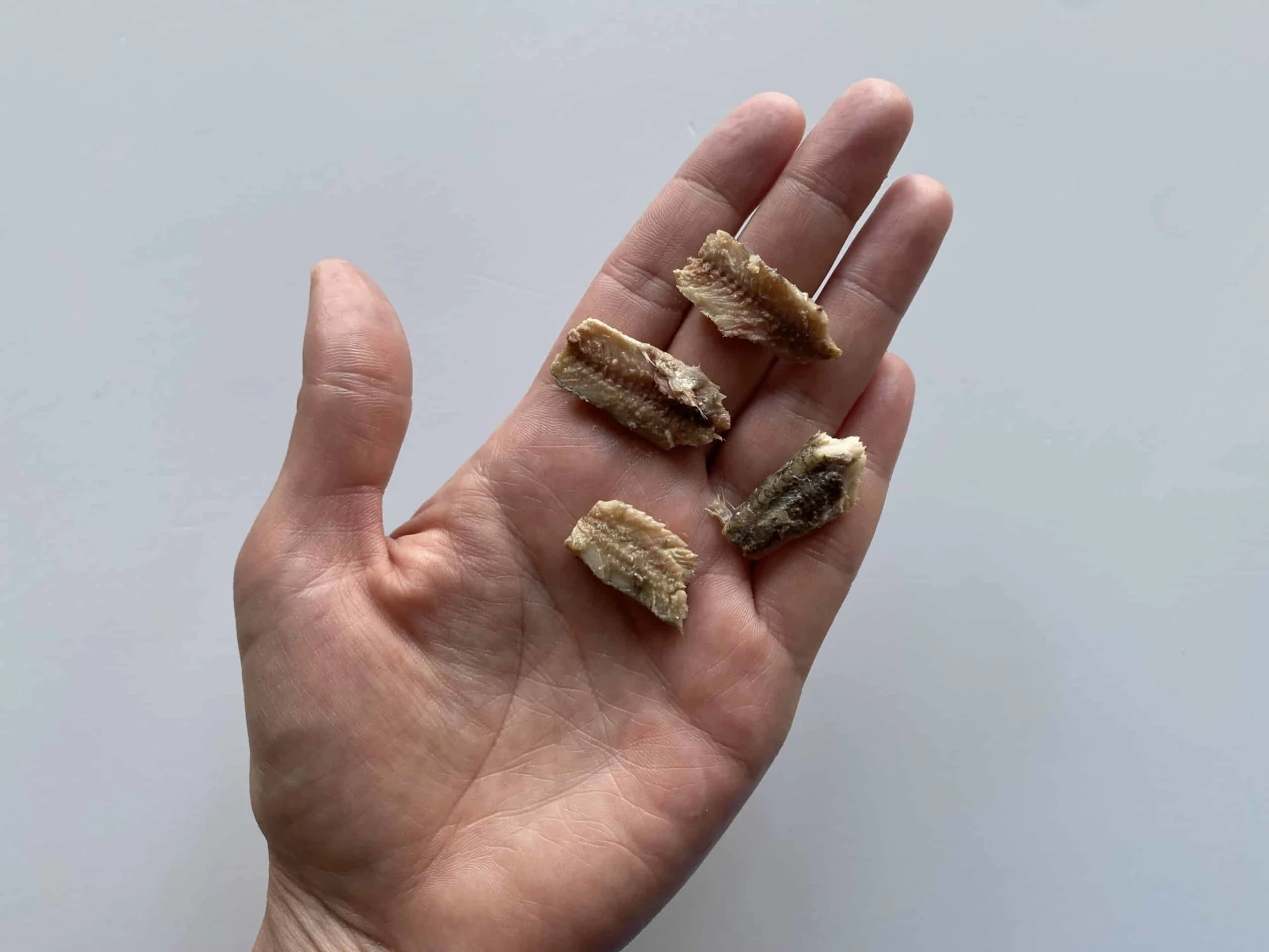 a hand holding four bite-sized pieces of canned anchovy for toddlers 12 months+
