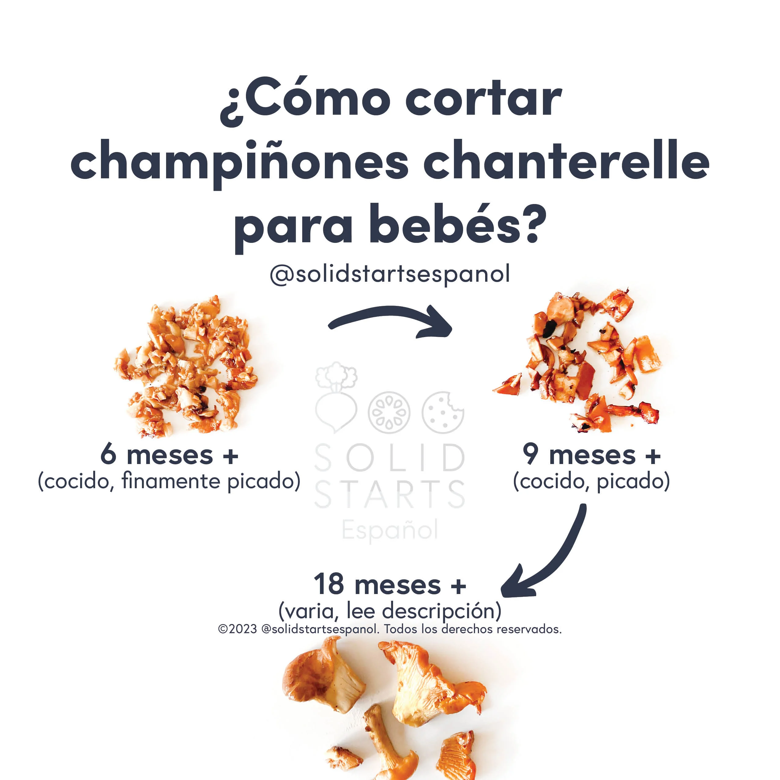 a Solid Starts infographic with the header How to Cut Chanterelles for Babies: cooked and finely chopped for 6 months+, cooked and chopped for 9 months+, and in cooked larger pieces for 18 months+