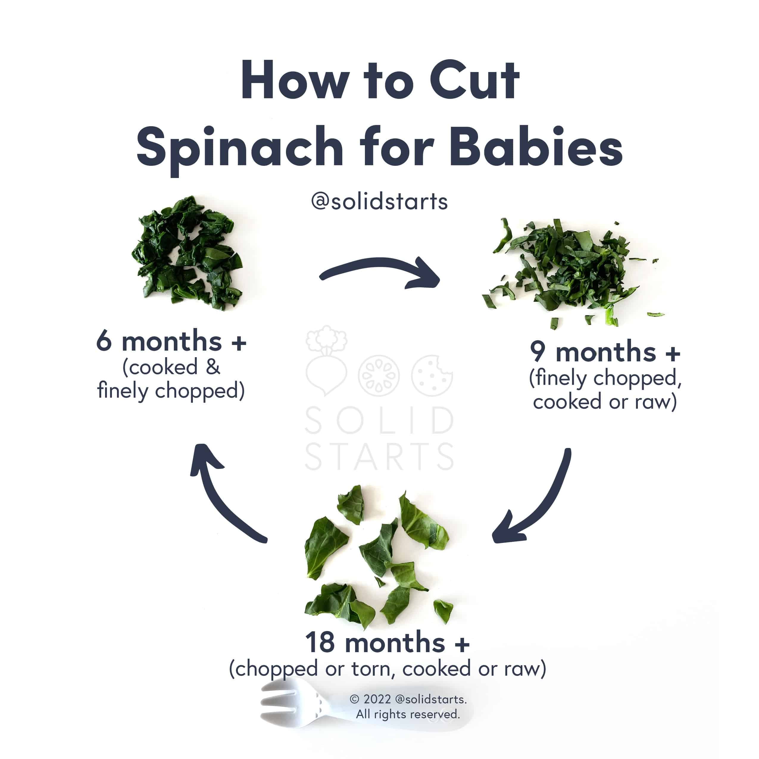 How to Cut Spinach for Babies