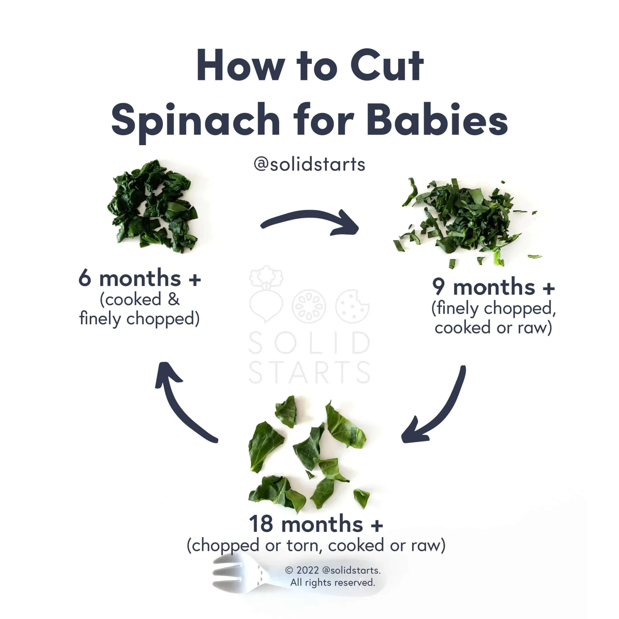 an infographic with the header "how to cut spinach for babies": cooked and finely chopped for 6 months+, finely chopped, cooked or raw for 9 months+, and chopped or torn, cooked or raw for 18 months+