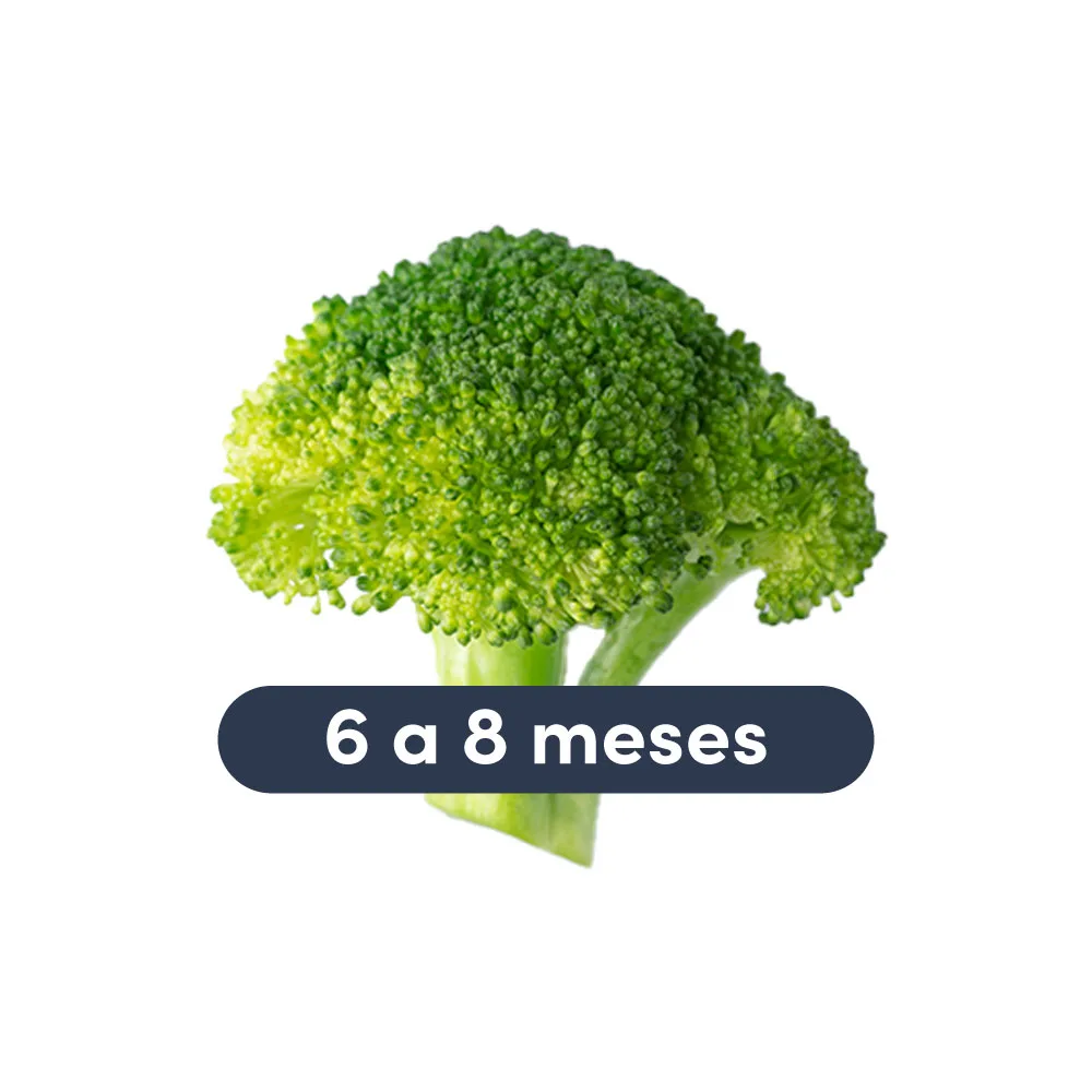 a photograph of a large broccoli floret with text that says 6 to 8 months above it