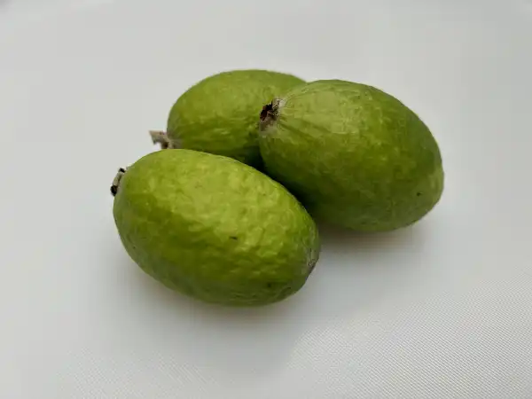 a photograph of three whole ripe feijoas on a white background