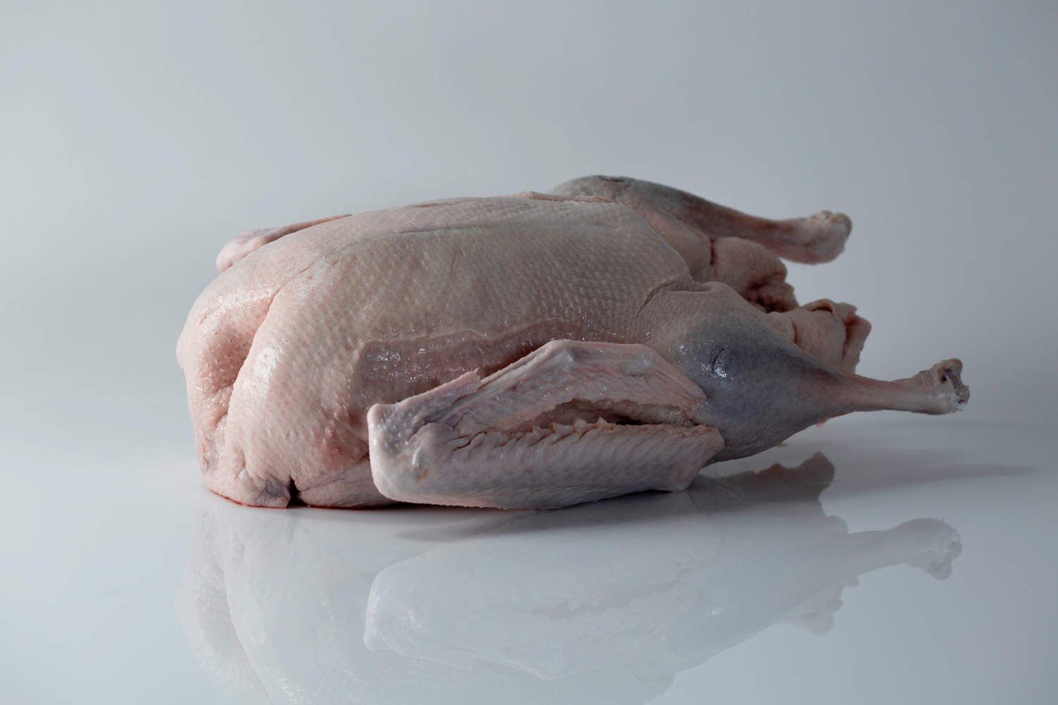 Goose for Babies - First Foods for Baby - Solid Starts