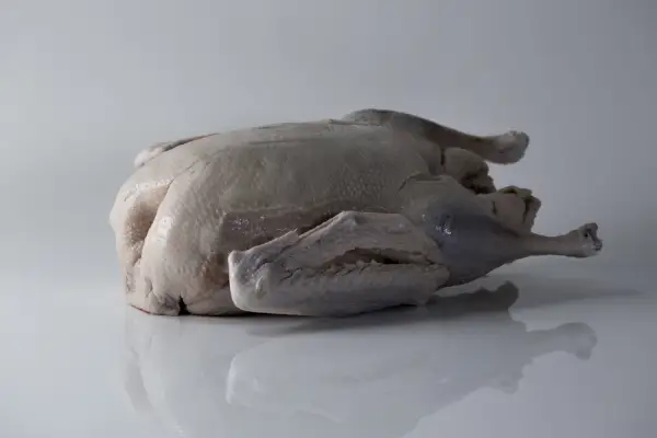 a raw whole goose on a white background ready to be cooked for babies starting solids