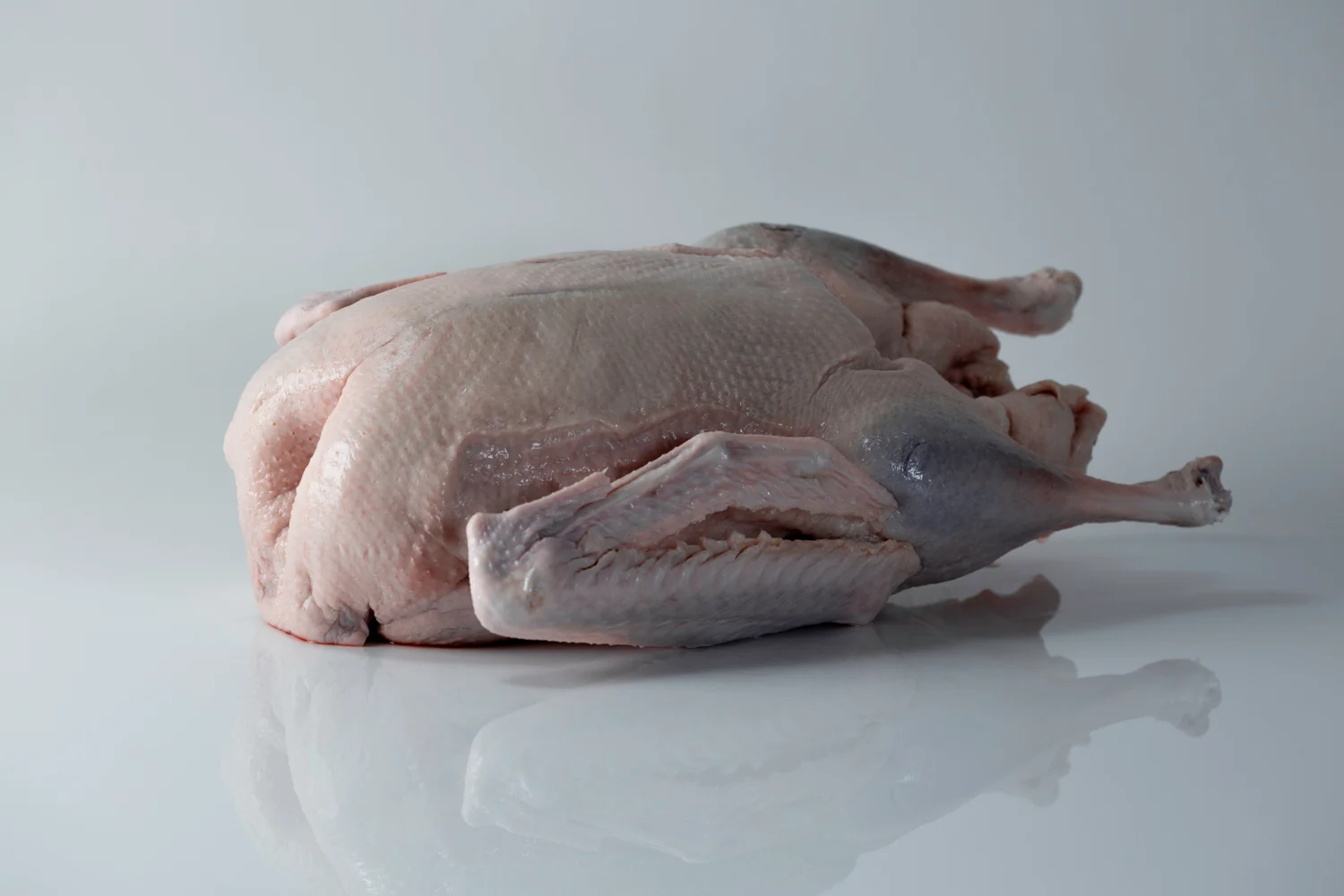 a raw whole goose on a white background ready to be cooked for babies starting solids