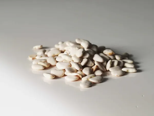 lima beans before being prepared for babies starting solids