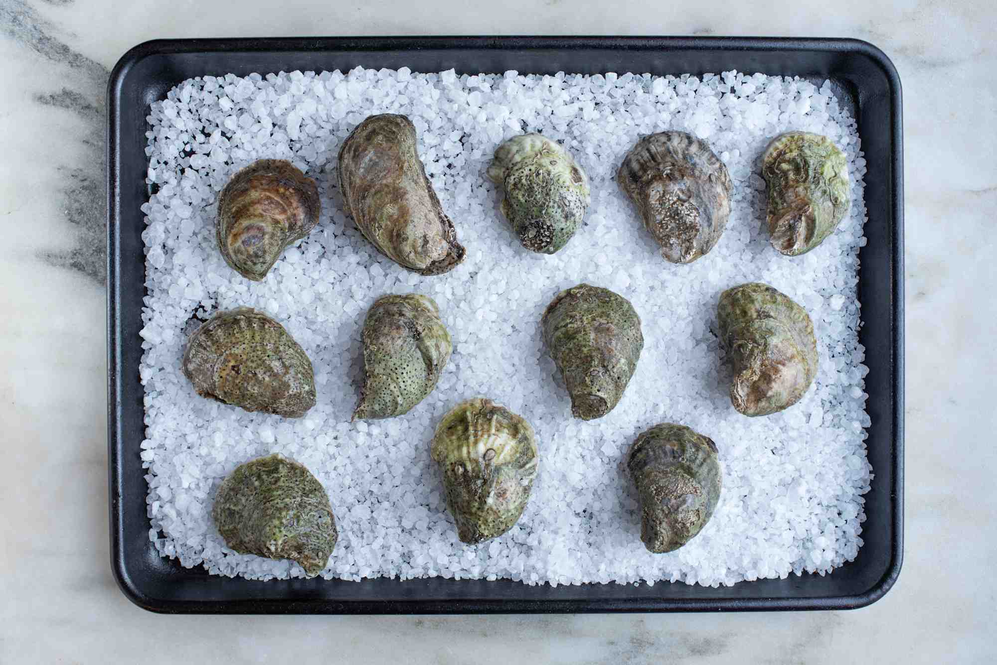 Solid Starts Can Babies Eat Oysters? When Can Babies Eat Oysters? First Foods for Babies