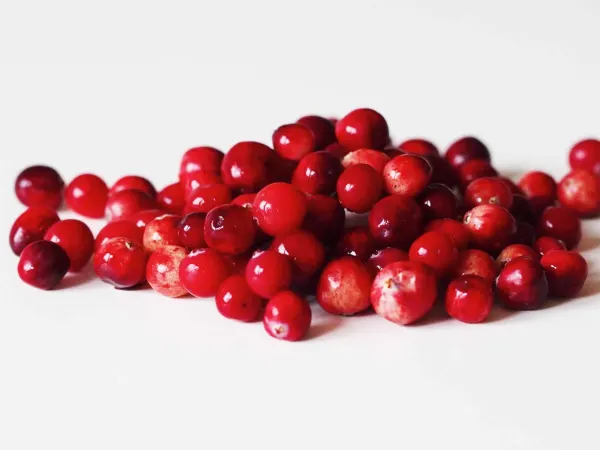 a pile of fresh cranberries before being prepared for a baby starting solids