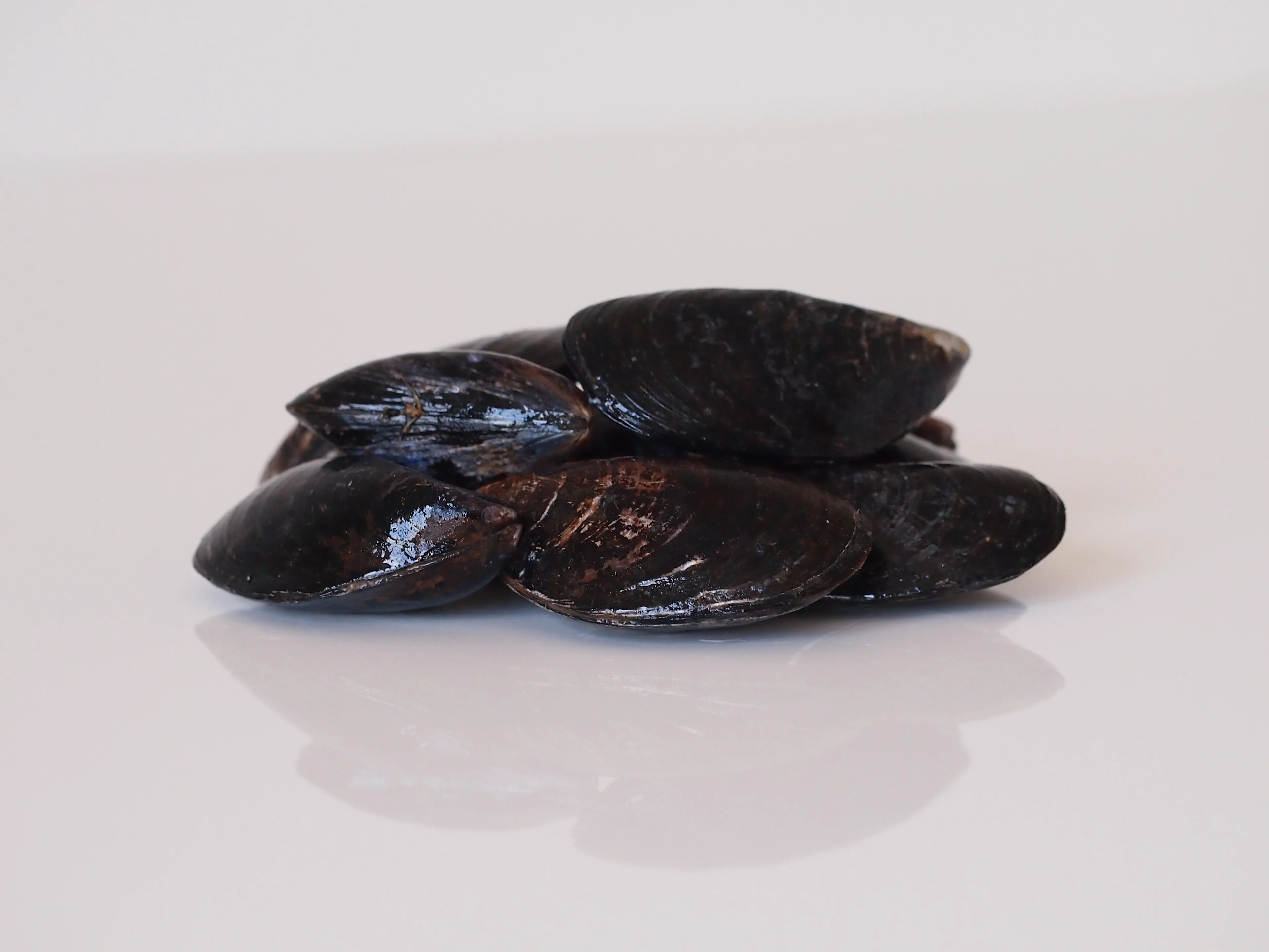 a photograph of a pile of fresh mussels