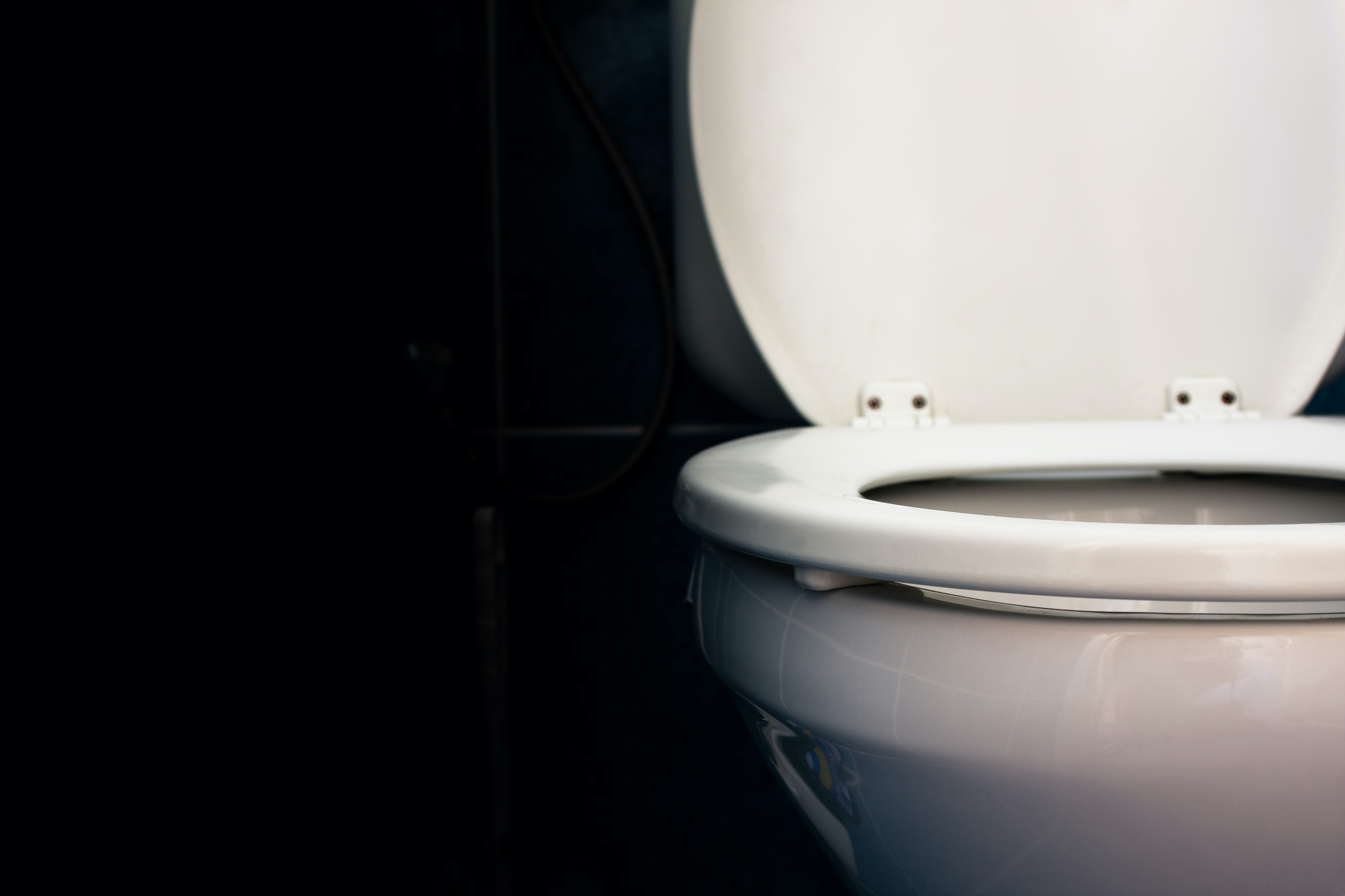 Can You Get HIV From a Toilet Seat?