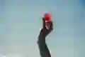 A person holds up a red flower against the sky