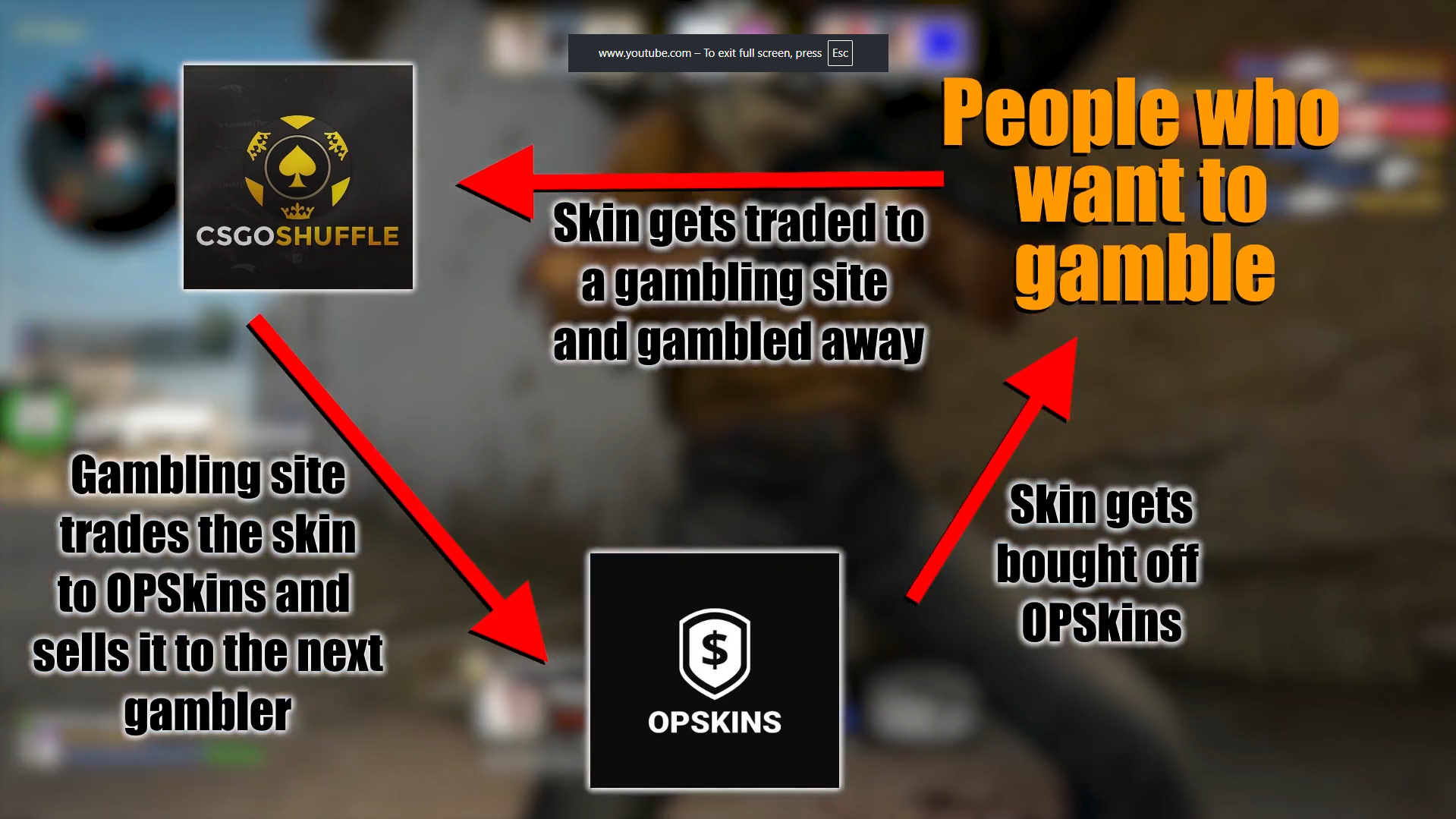 OPSkins business plan involving gambling websites