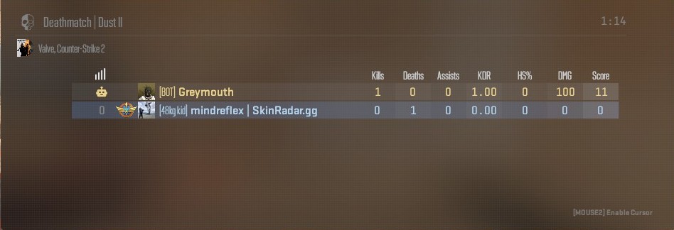Best/Popular CS2 Clan Tags & How To Use Them