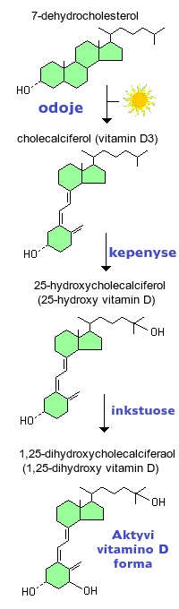 vitaminas D