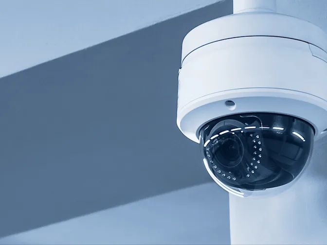 Florida Man Steals Entire Cash Register Drawer-1