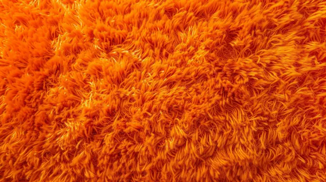 20 Iconic Items Every House Had in the 70s-1