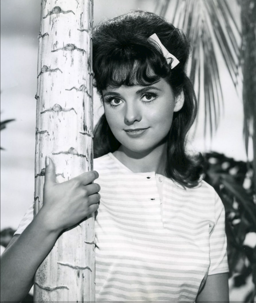 Where Did The 'Gilligan's Island' Stars End Up? | Truthfully.com