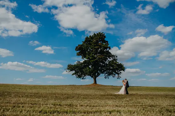 The Bridegroom's Oak: The Tree in Germany That Helps People Find Love-1